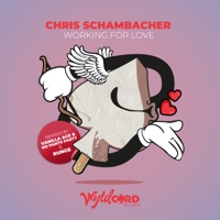 Working for Love - Single - Chris Schambacher, Vanilla Ace & Max Low