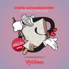 Working for Love (Vanilla Ace & No Pants Party Remix) Chris Schambacher, Vanilla Ace & Max Low