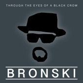 Through the Eyes of a Black Crow artwork