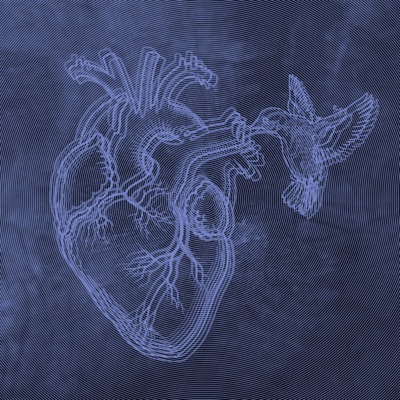 Hummingbird (feat. T33-Dubb & Alpha Mother Supreme) - Single