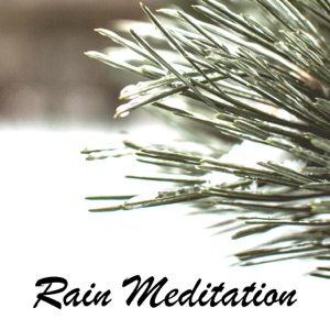 Rain Meditation