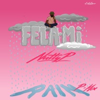 Rain P.Mix - Single - FELA.Mi & Nutty P