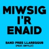 Miwsig i'r Enaid (feat. Gwyllt) - Single