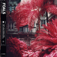 On the Luna-Foals