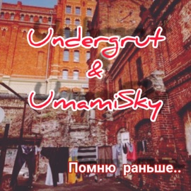 Помню раньше Undergrut & UmamiSky