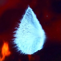 Fiji Tearz (feat. Giovanni) - Single - LovelyDidIt