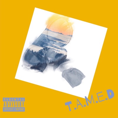 T.A.M.E.D (There Are More Existential Dimensions)