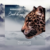 Back to Me - Single - Burak Cilt