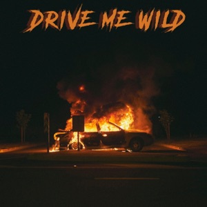 Drive Me Wild - Single