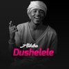 Dushelele - Single