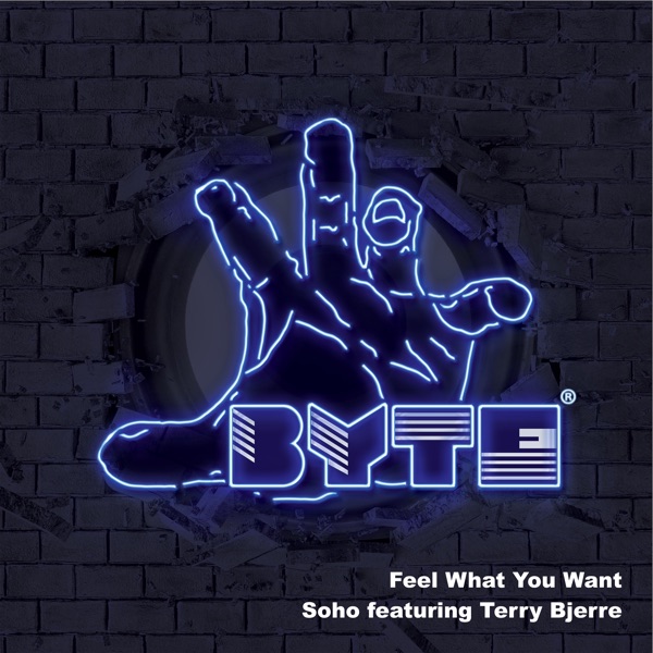 Feel What You Want (feat. Terry Bjerre) - Single