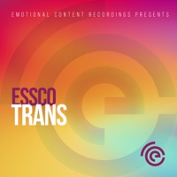Trans - Single - Essco