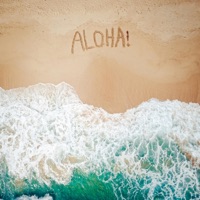 Aloha! - Single - ZB Flips & Pines