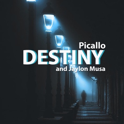 Destiny (feat. Jaylon Musa) - Single
