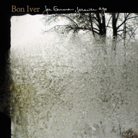 Skinny Love - Bon Iver Cover Art