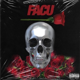 Rose Petal (feat. Questions) Facu