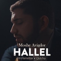 Hallel - Single - Moshe Avigdor