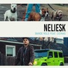 Neliesk (feat. Cicinas) - Single