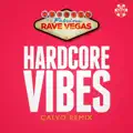 Hardcore Vibes (Calvo Edit)