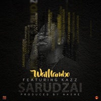 Sarudzai - Single - WaMambo & Kazz
