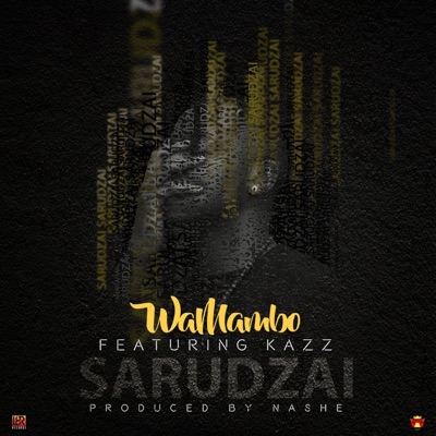 Sarudzai - Single