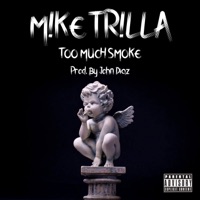 Too Much Smoke - Single - Mike Trilla & John Diaz