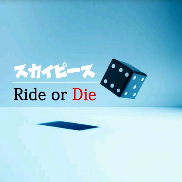 SkyPeace Live at YOKOHAMA ARENA-Get Back The Dreams- (Live