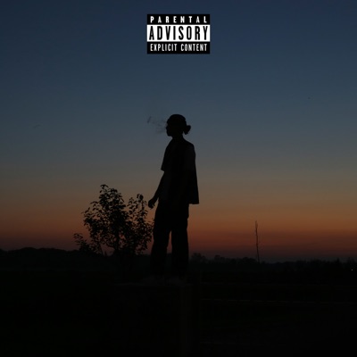 I've Been Through so Much - Single