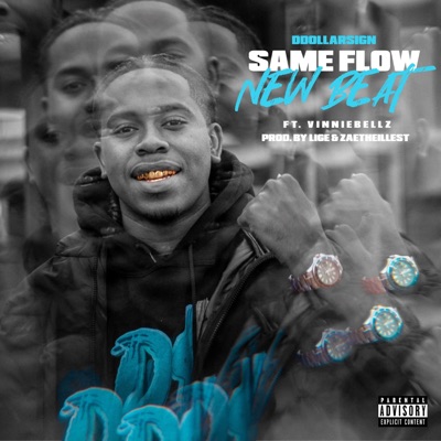 Same Flow New Beat (feat. VinnieBellz) - Single