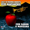 Lalo Tzul & Marimba Orquesta Ecos Manzaneros de Guatemala - Adiós Mi Amor, Marimba de Guatemala