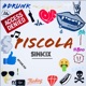 Piscola Single