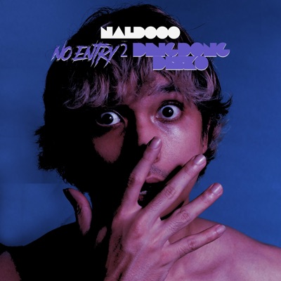 No Entry 2 DingDongDisko - Single