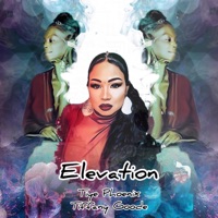 Elevation - Single - Tiye Phoenix & Tiffany Goode