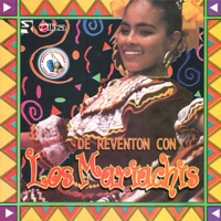 Reventon Bailable