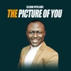 The Picture of You - Single