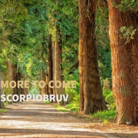 More to Come - Single - ScorpioBruv