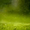 - Dripping Rain