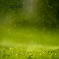  - Dripping Rain