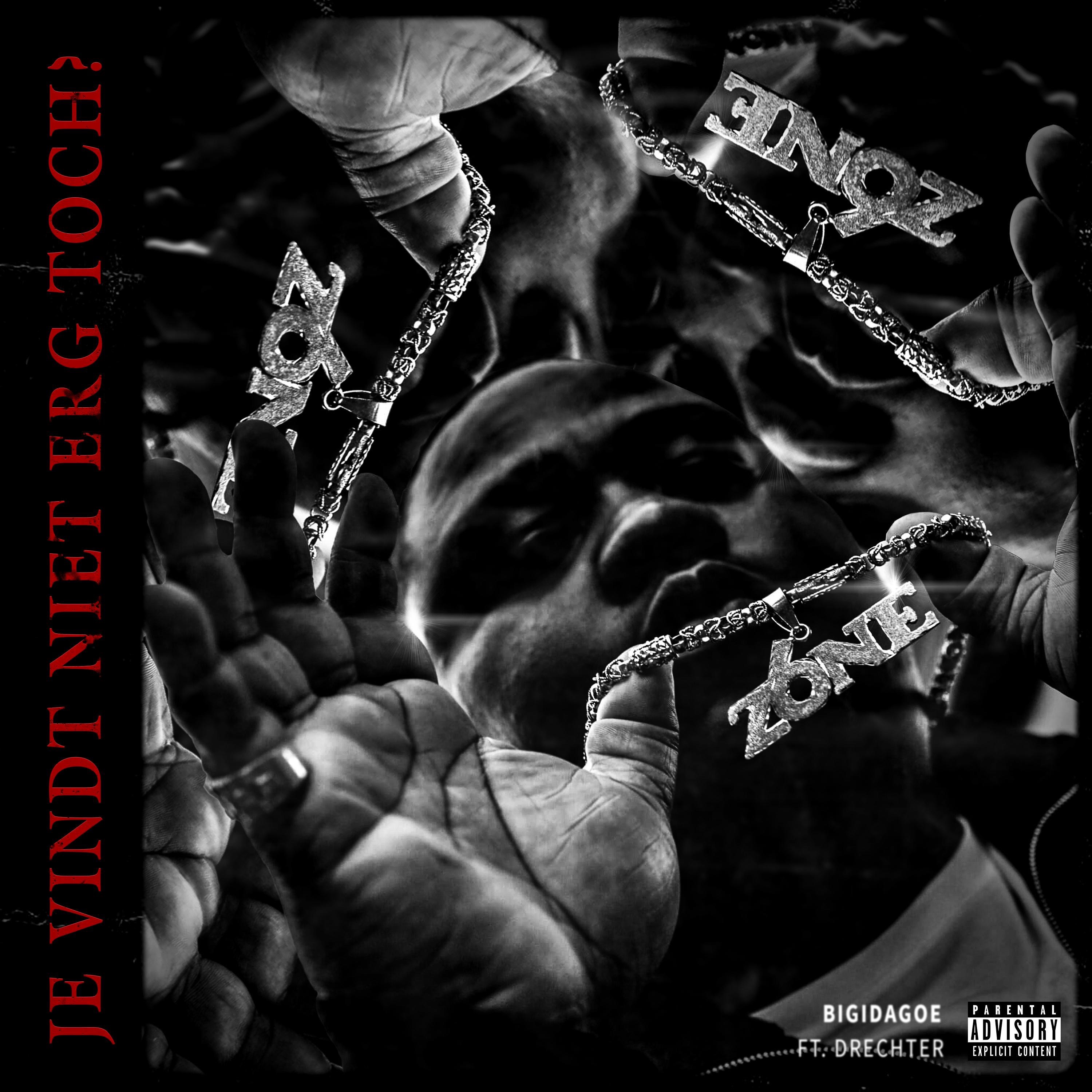 Je Vind Niet Erg Toch (feat. Drechter) - Single