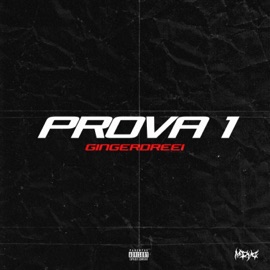 Prova 1 Gingerdreei
