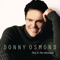 At the Edge of the World (From Riverdance) - Donny Osmond lyrics