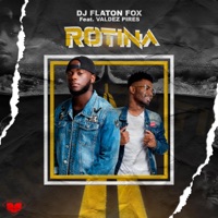 Rotina (feat. Valdez Pires) - Single - DJ Flaton Fox