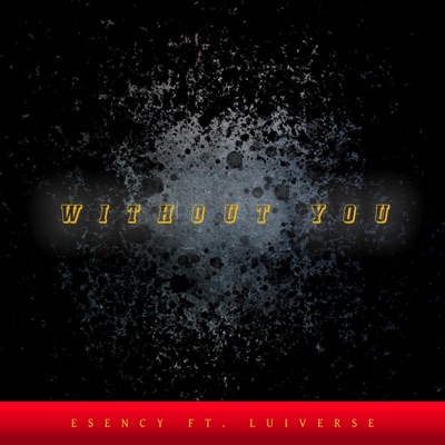 Without You (feat. Luiverse) - Single