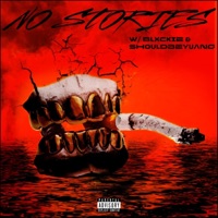 no stories (feat. Shouldbeyuang & Blxckie) - Single - 808 Sallie