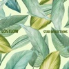 Lostlow - Star Reflections