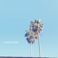 Feels Good (feat. Ce'es) - Single - Biggz