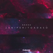 Juniper / Toadaso - EP artwork