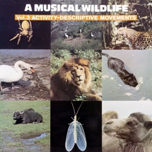 A Musical Wildlife, Vol. 3: Activity-Descriptive Movements (2020 Remastered Version)