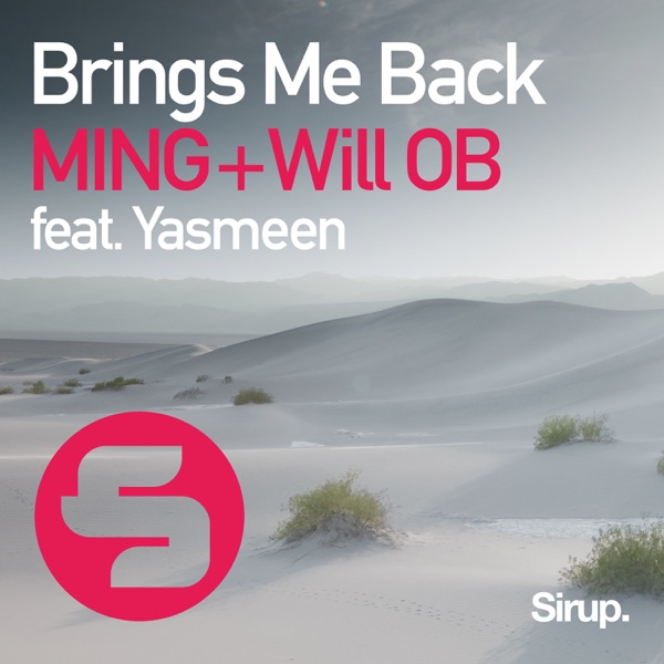 Brings Me Back (feat. Yasmeen) - Single