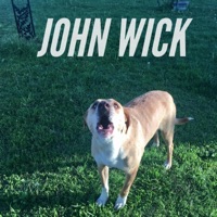 John Wick - Single - OKnice